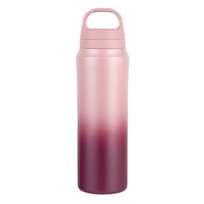 Bouteille d'eau en acier inoxydable avec infuseur